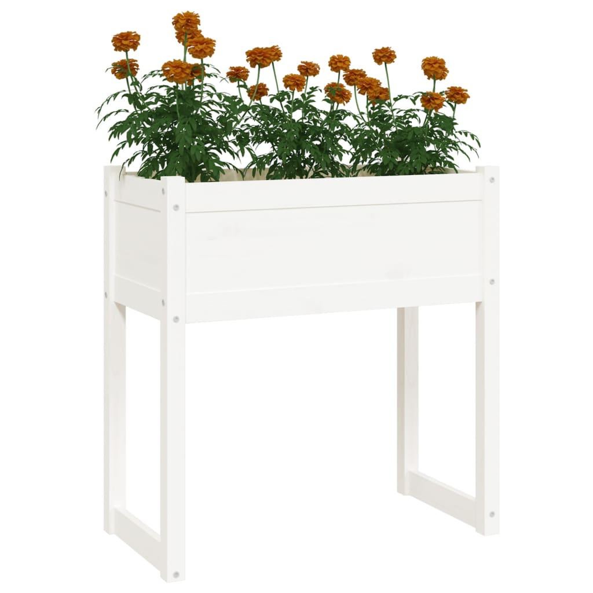 Voir la diapositive 4 : VIDAXL Jardiniere Blanc 78x40x81 cm Bois massif de pin