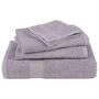 Voir la diapositive 4 : VIDAXL Serviettes de visage 4 pcs gris 30x30 cm 360 g m² 100% coton