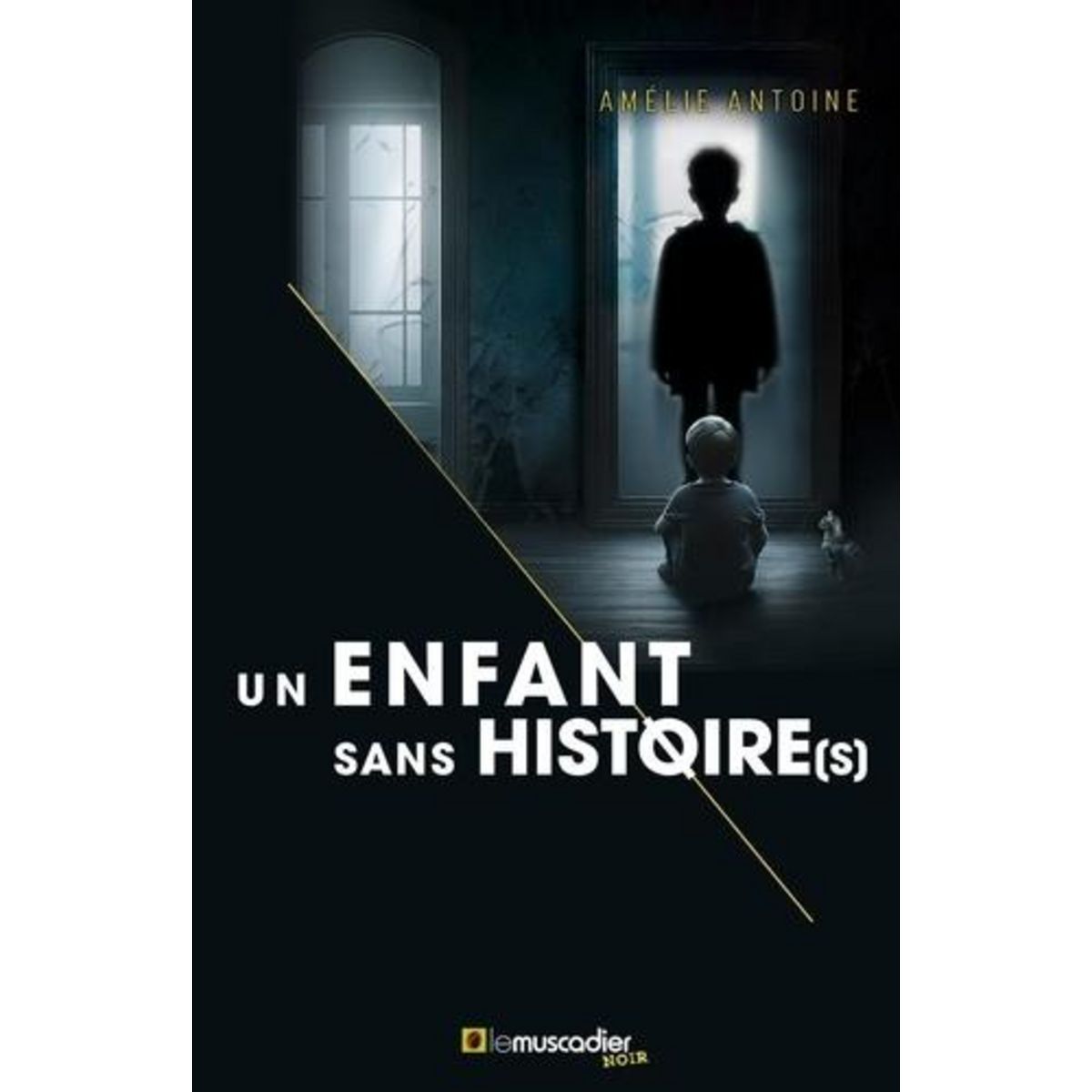 UN ENFANT SANS HISTOIRE(S), Antoine Amélie