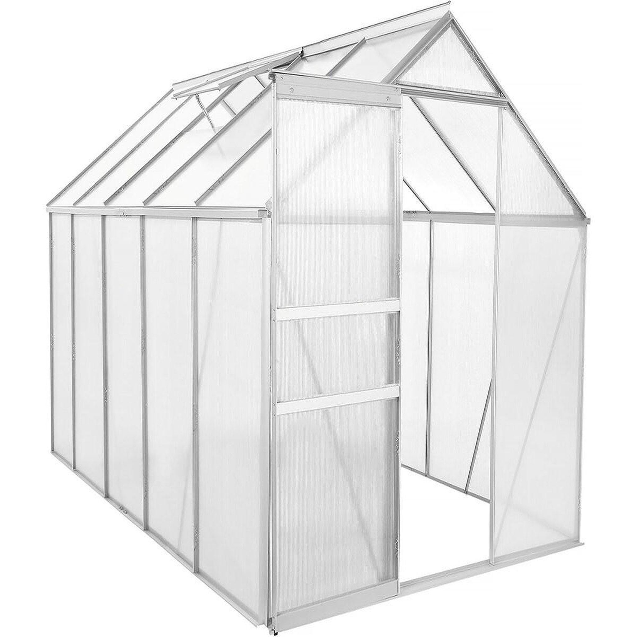 Habitat et Jardin Serre jardin polycarbonate 310 x 190 x 195 cm  basilic  - 5,89 m² - gris