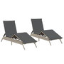 Voir la diapositive 2 : VIDAXL Chaises longues avec coussins lot de 2 gris resine tressee