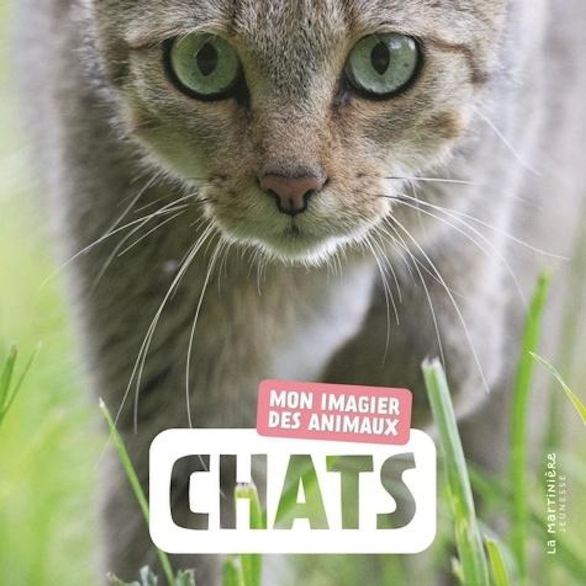 CHATS, Naturagency