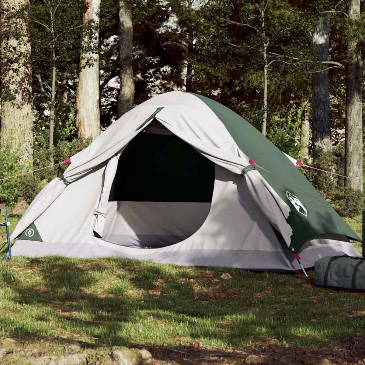 VIDAXL Tente de camping a dome 2 personne vert impermeable