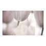 Voir la diapositive 2 : Paris Prix Papier Peint  Tulips Fine Art Black & White II  270x450cm