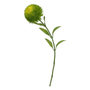 Voir la diapositive 1 : ATMOSPHERA Tige Artificielle  Dianthus  50cm Vert
