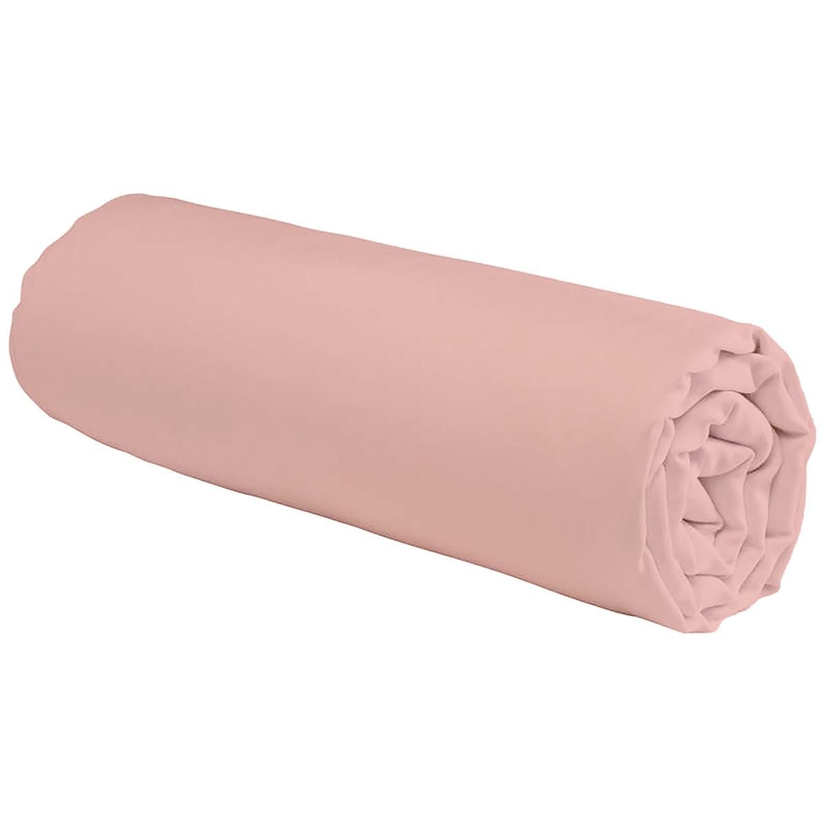 FUTURE HOME Drap housse en coton 57 fils uni bonnet 25cm