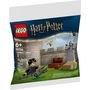 Voir la diapositive 1 : LEGO LEGO Harry Potter - La leçon de Quidditch (Polybag) - 30706