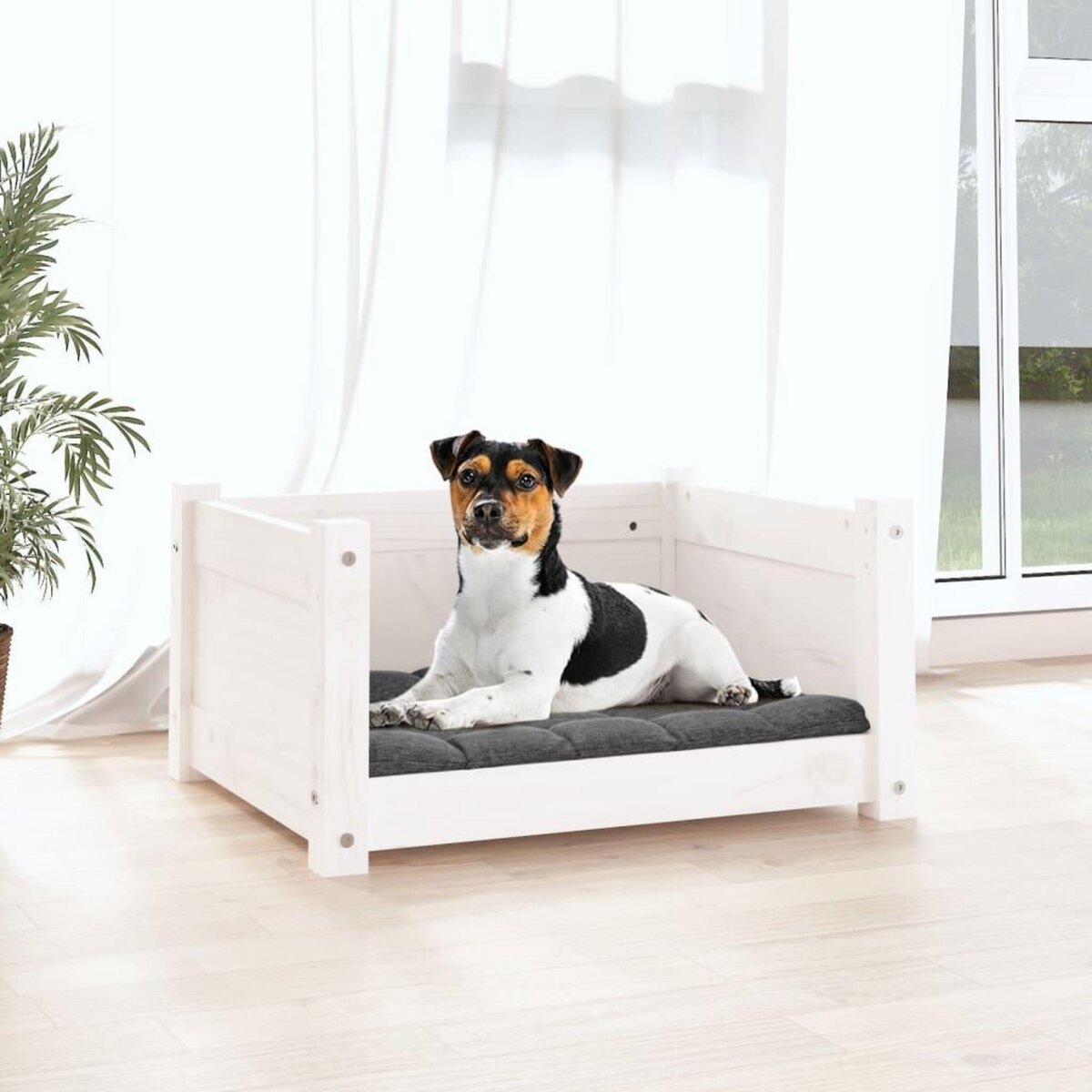 VIDAXL Lit pour chien Blanc 55,5x45,5x28 cm Bois massif de pin