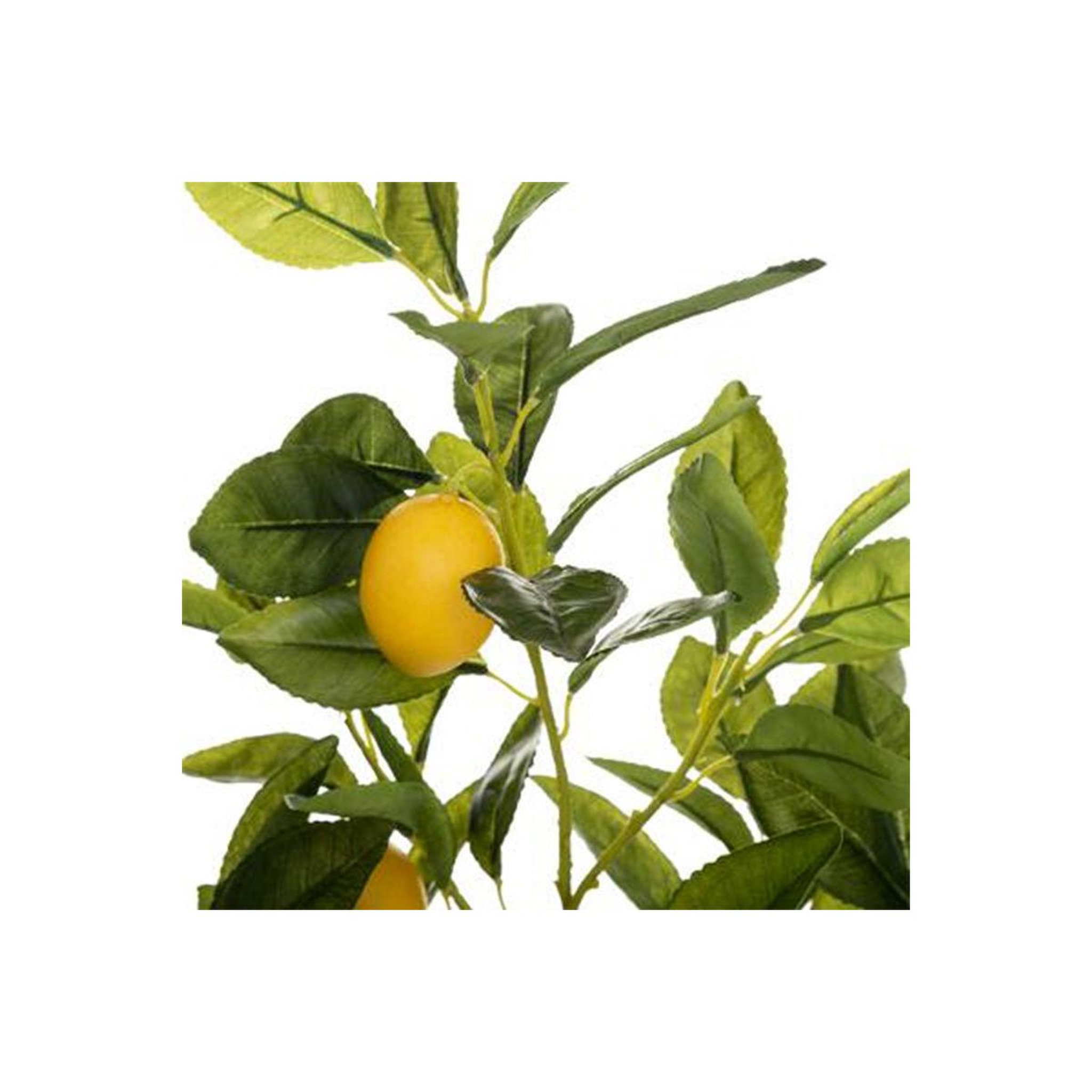 Voir la diapositive 2 : ATMOSPHERA Plante artificielle  citronnier  73cm multicolore