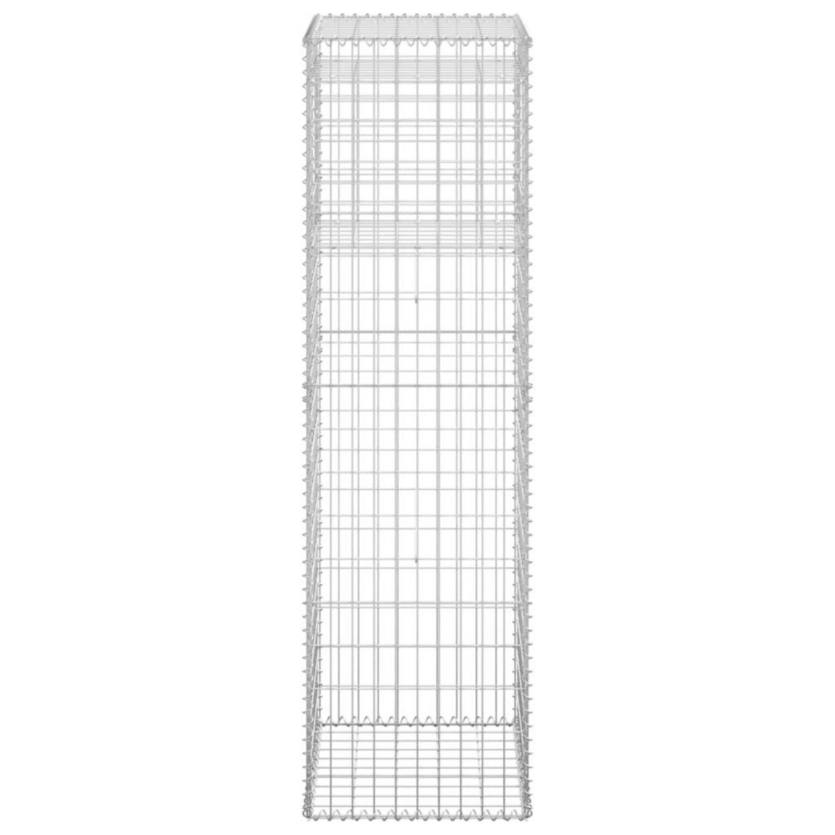 VIDAXL Poteaux a panier de gabion 2 pcs 50x50x180 cm Fer