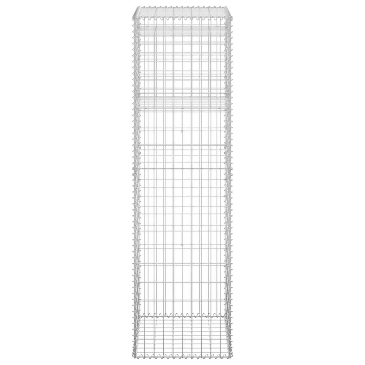 VIDAXL Poteaux a panier de gabion 2 pcs 50x50x180 cm Fer
