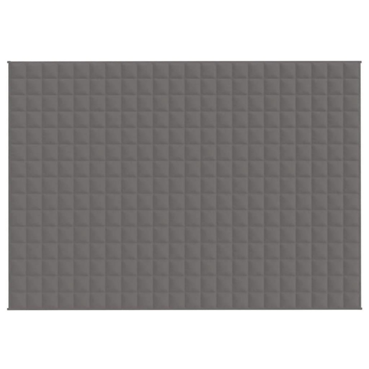 VIDAXL Couverture lestee Gris 155x220 cm 11 kg Tissu