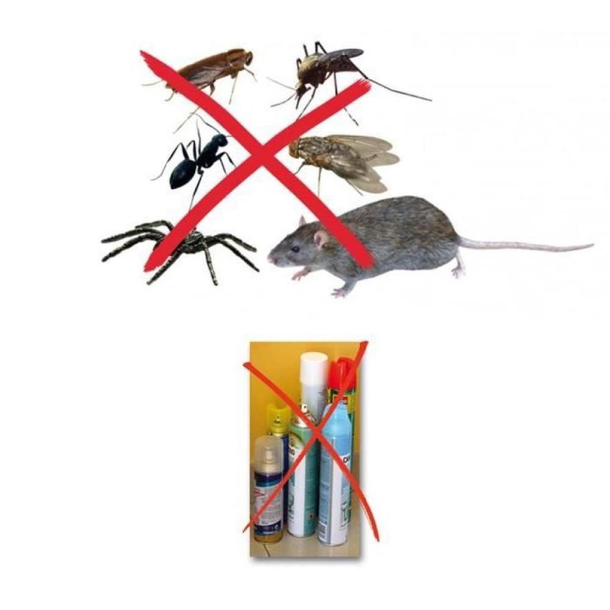 Voir la diapositive 2 : Répulsif anti-nuisibles électronique ultrasonique et électromagnétique (insectes et rongeurs), blanc à voyants violets