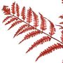 Voir la diapositive 2 : ATMOSPHERA Tige Artificielle Fougère  James  90cm Rouge