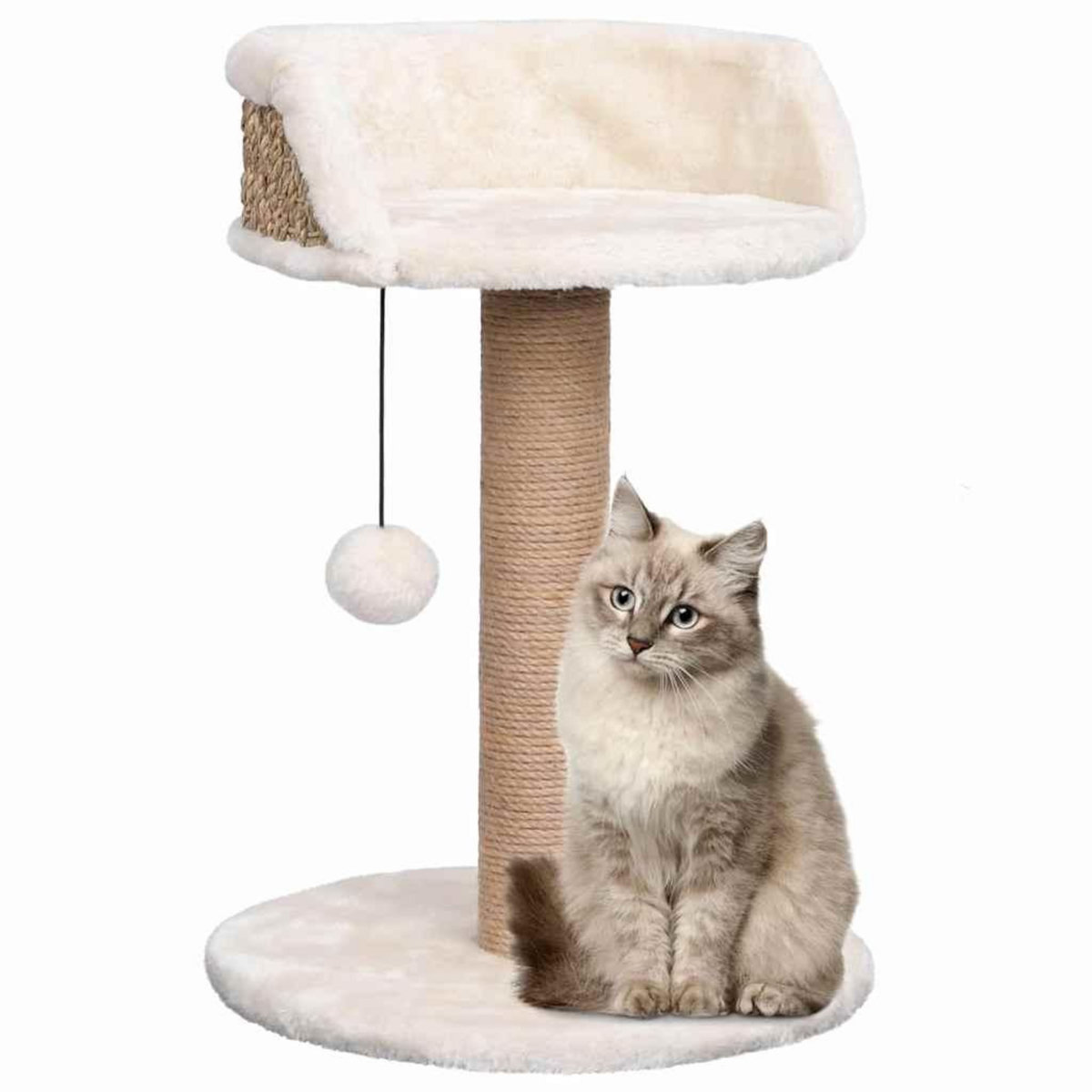 VIDAXL Arbre a chat avec griffoirs 49 cm Herbiers marins