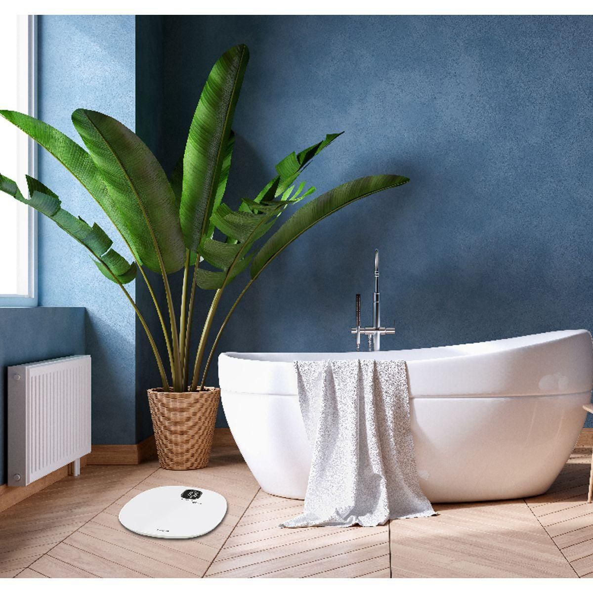 Terraillon Pèse personne connecté MASTER FORM