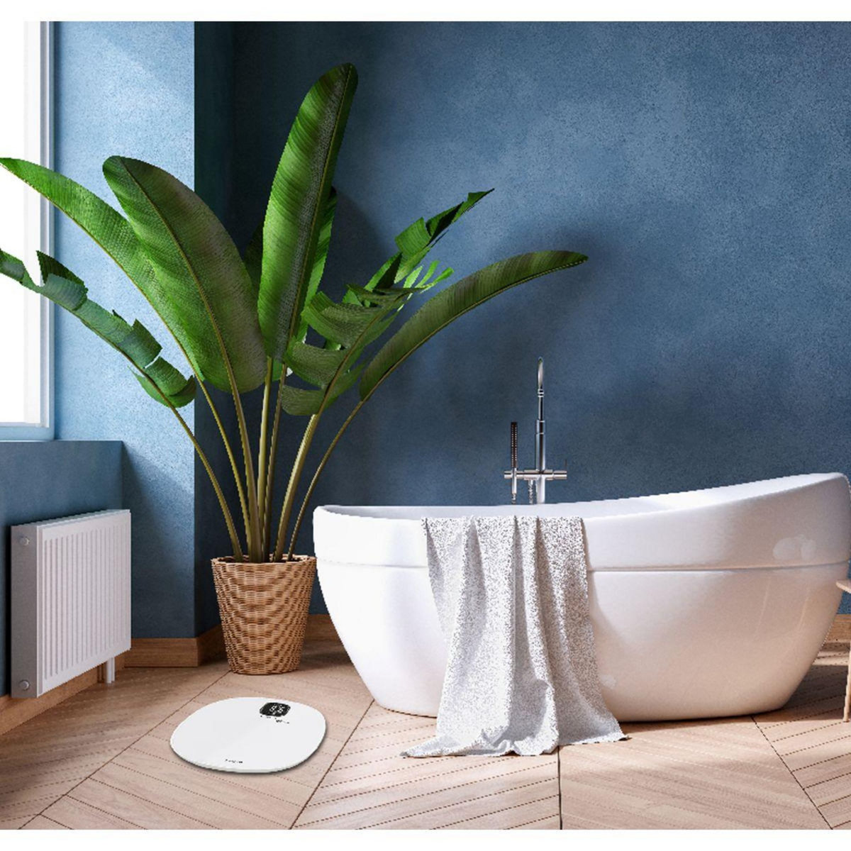 Terraillon Pèse personne connecté MASTER FORM