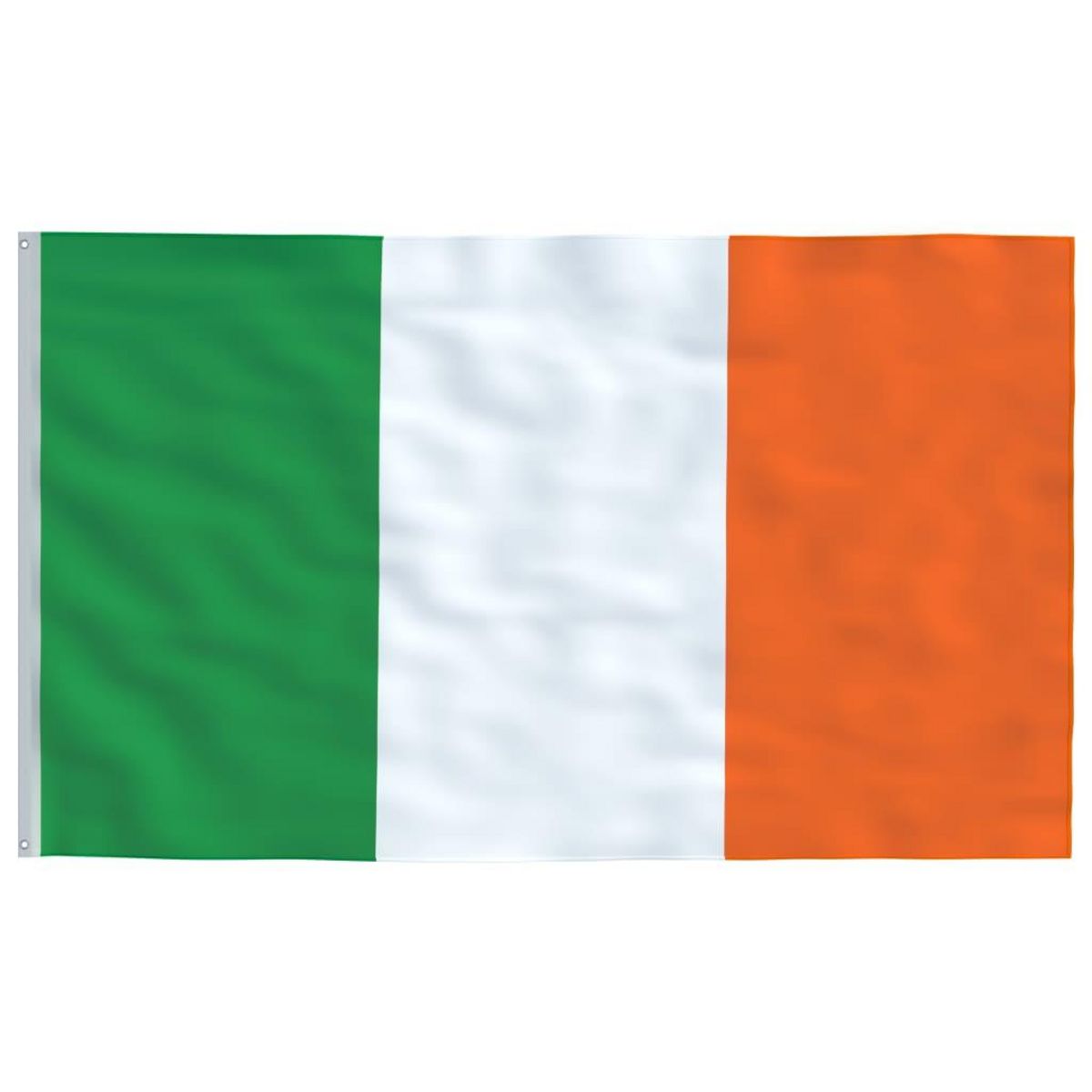 VIDAXL Drapeau de l'Irlande et mat 5,55 m Aluminium