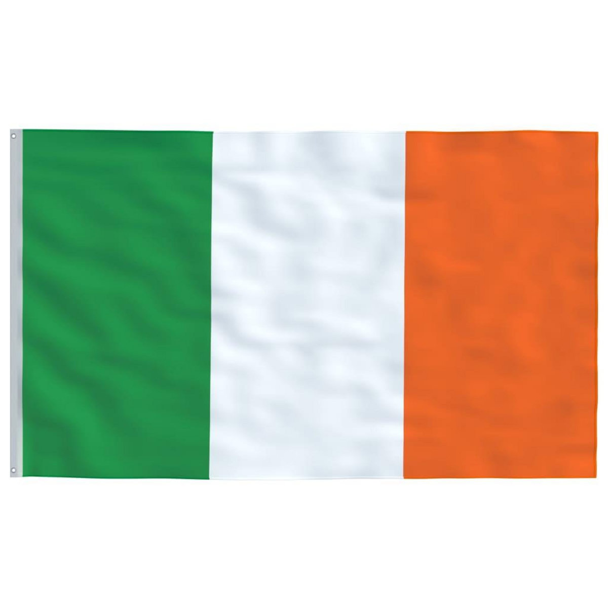 VIDAXL Drapeau de l'Irlande et mat 5,55 m Aluminium