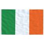 Voir la diapositive 4 : VIDAXL Drapeau de l'Irlande et mat 5,55 m Aluminium