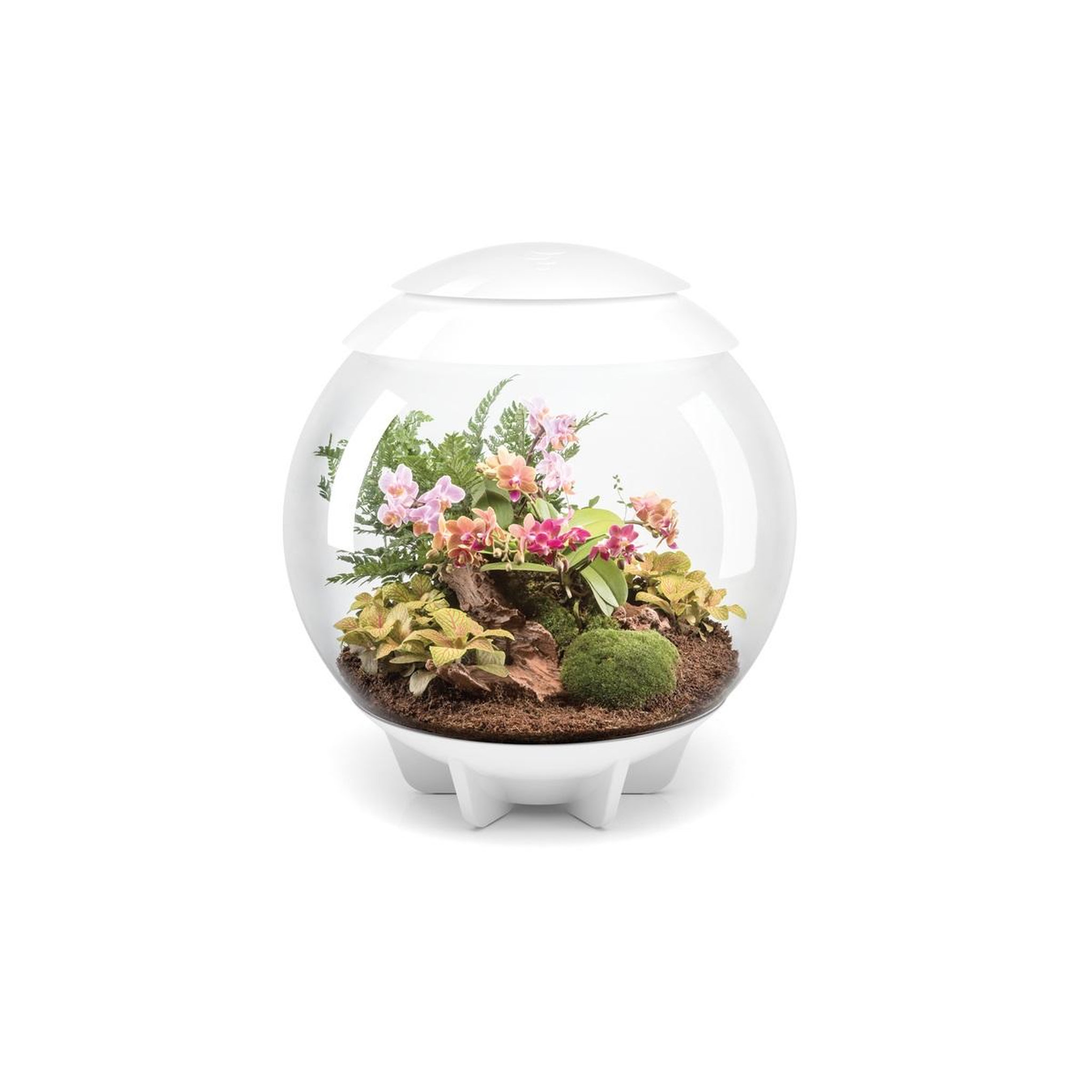 Oase Terrarium décoratif 60l avec cadre blanc - air 60 white