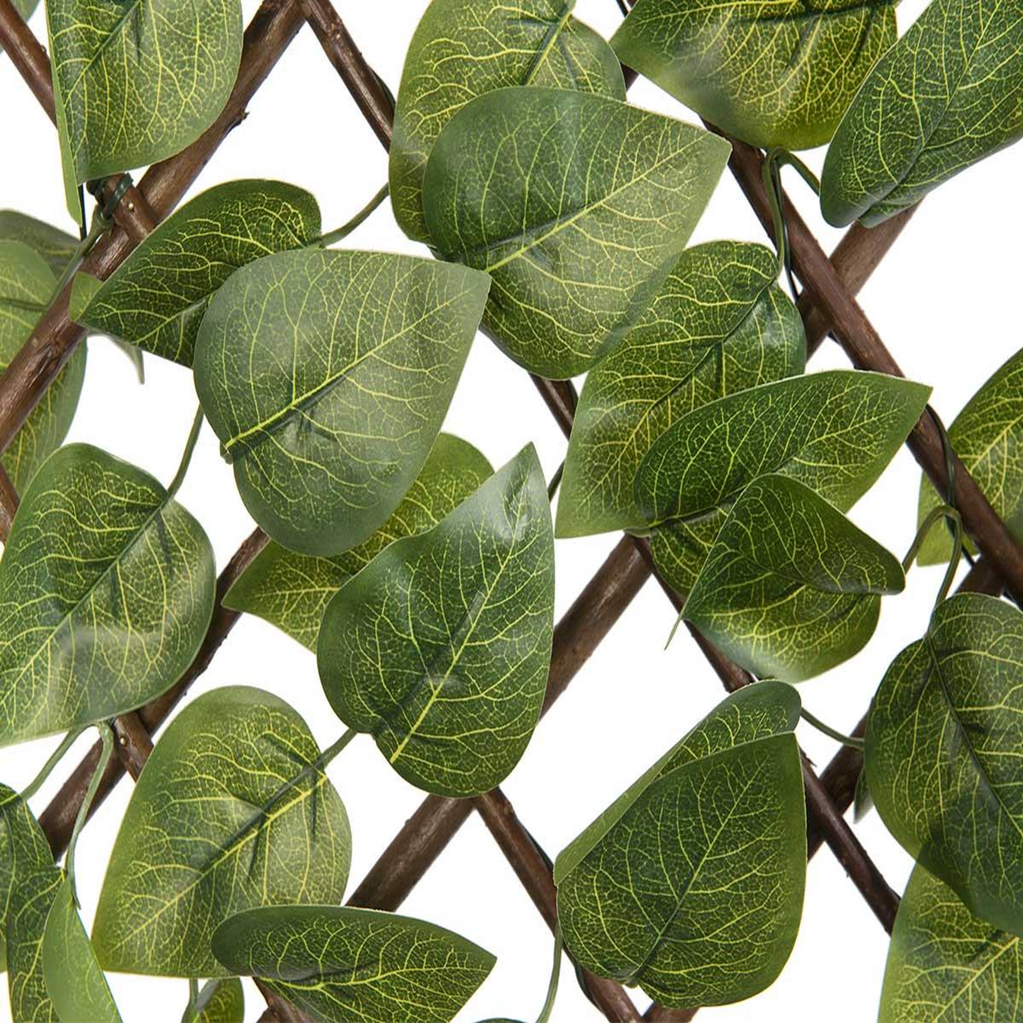 Voir la diapositive 2 : NATURE Treillis extensible en osier avec feuillage pe laurier palme 180 x 90 cm - nature