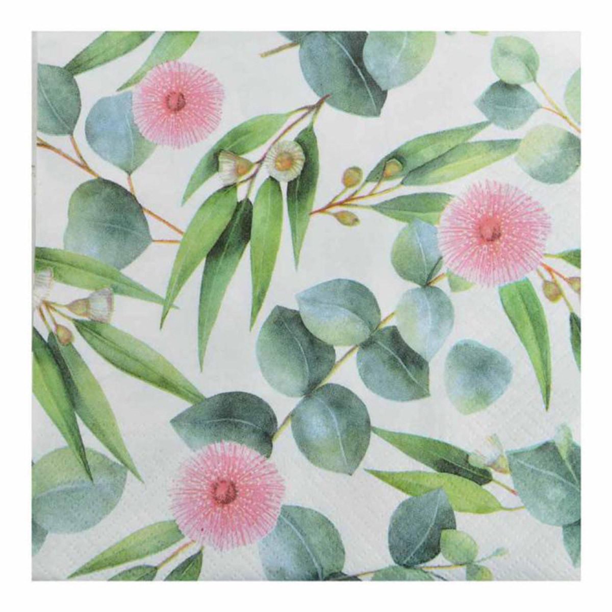 HOMEA Lot de 20 serviettes en papier  eucalyptus  33x33cm multicolore