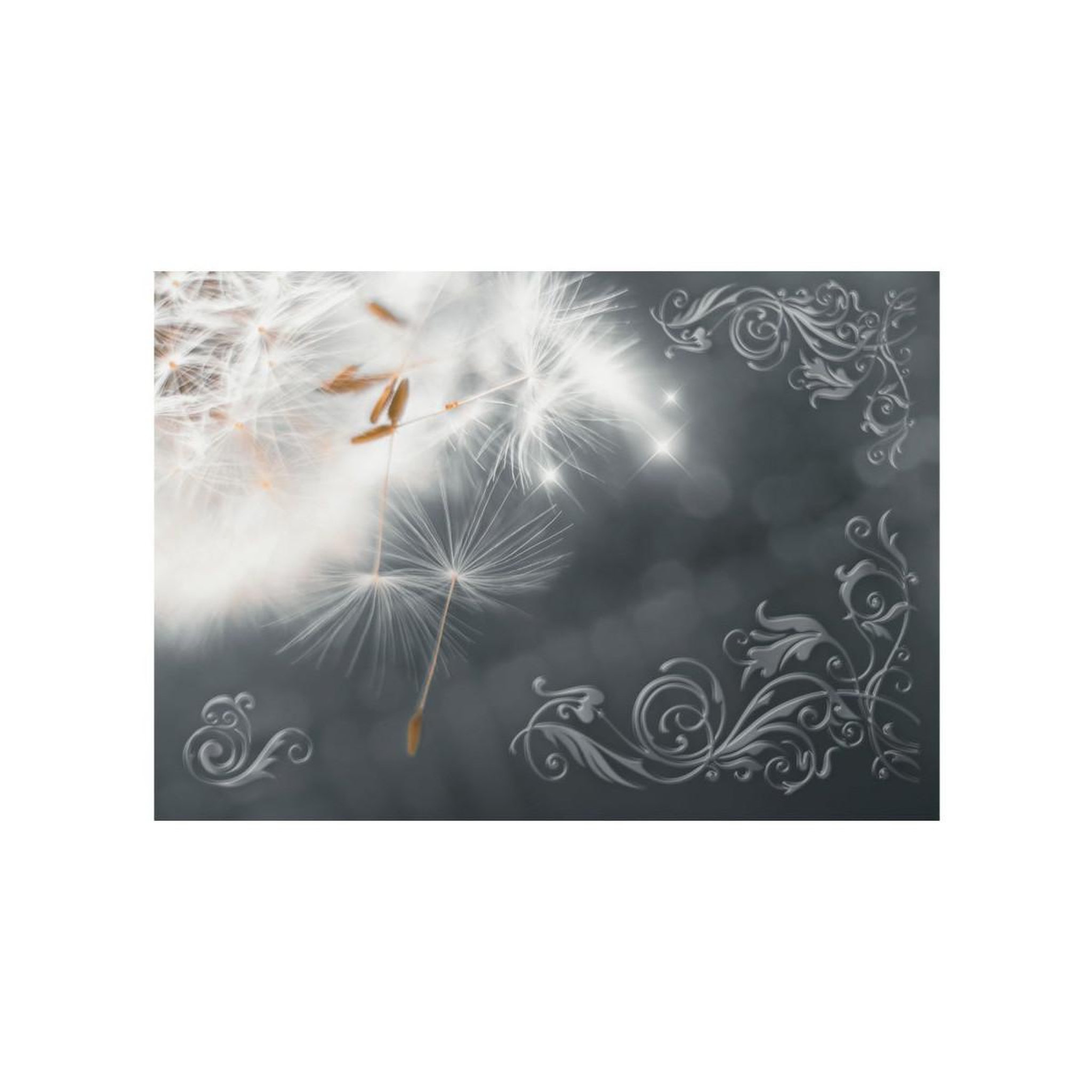 Voir la diapositive 2 : Paris Prix Papier Peint  Magic of Gentleness