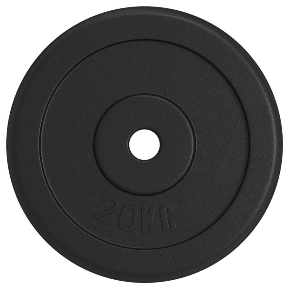 VIDAXL Plaque de poids 20 kg Fonte