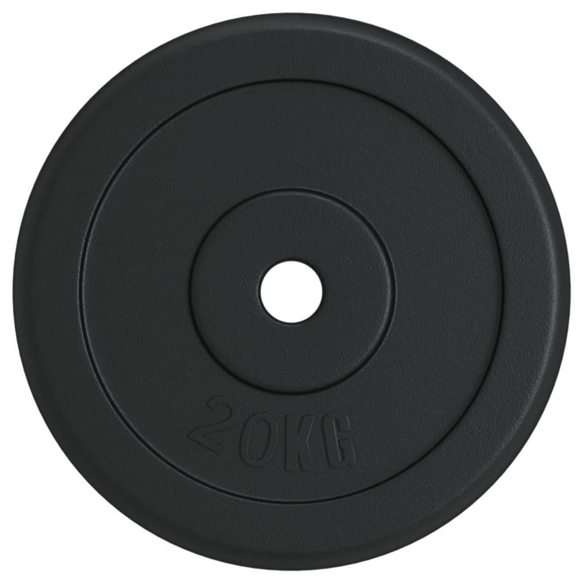 VIDAXL Plaque de poids 20 kg Fonte