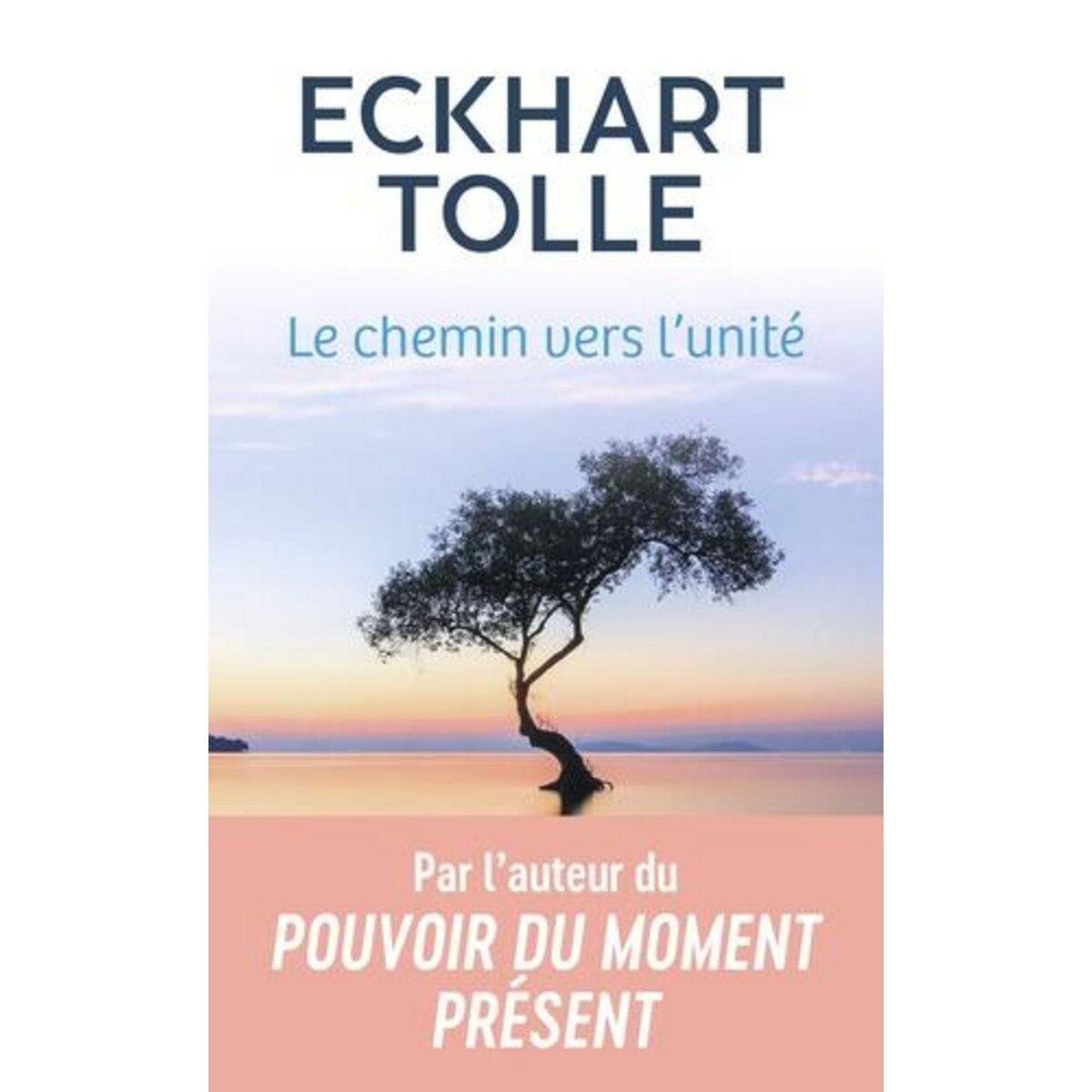 LE CHEMIN VERS L'UNITE, Tolle Eckhart