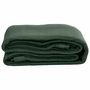 Voir la diapositive 3 : VIDAXL Tapis de tente 200x200 cm Vert fonce