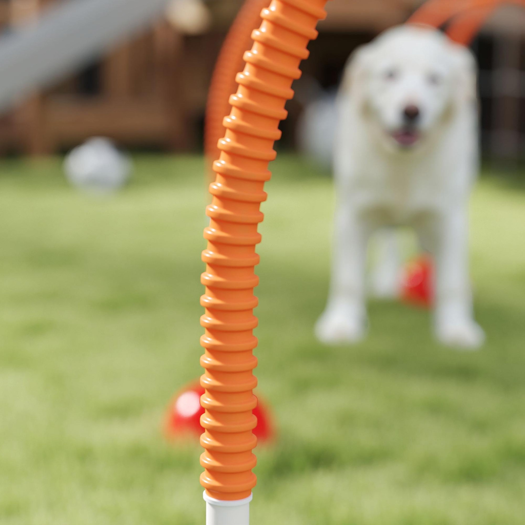 Voir la diapositive 4 : PAWHUT Kit d'agilité pour chien - 4 arcs d'agilité, sac de transport - plastique orange jaune rouge