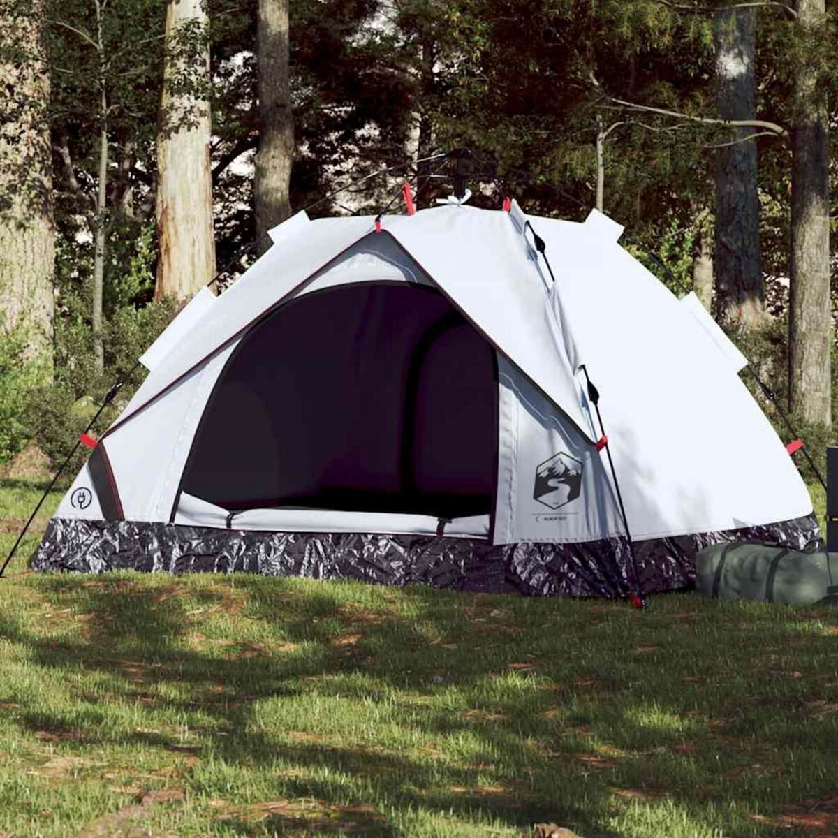 VIDAXL Tente de camping a dome 3 personnes liberation rapide