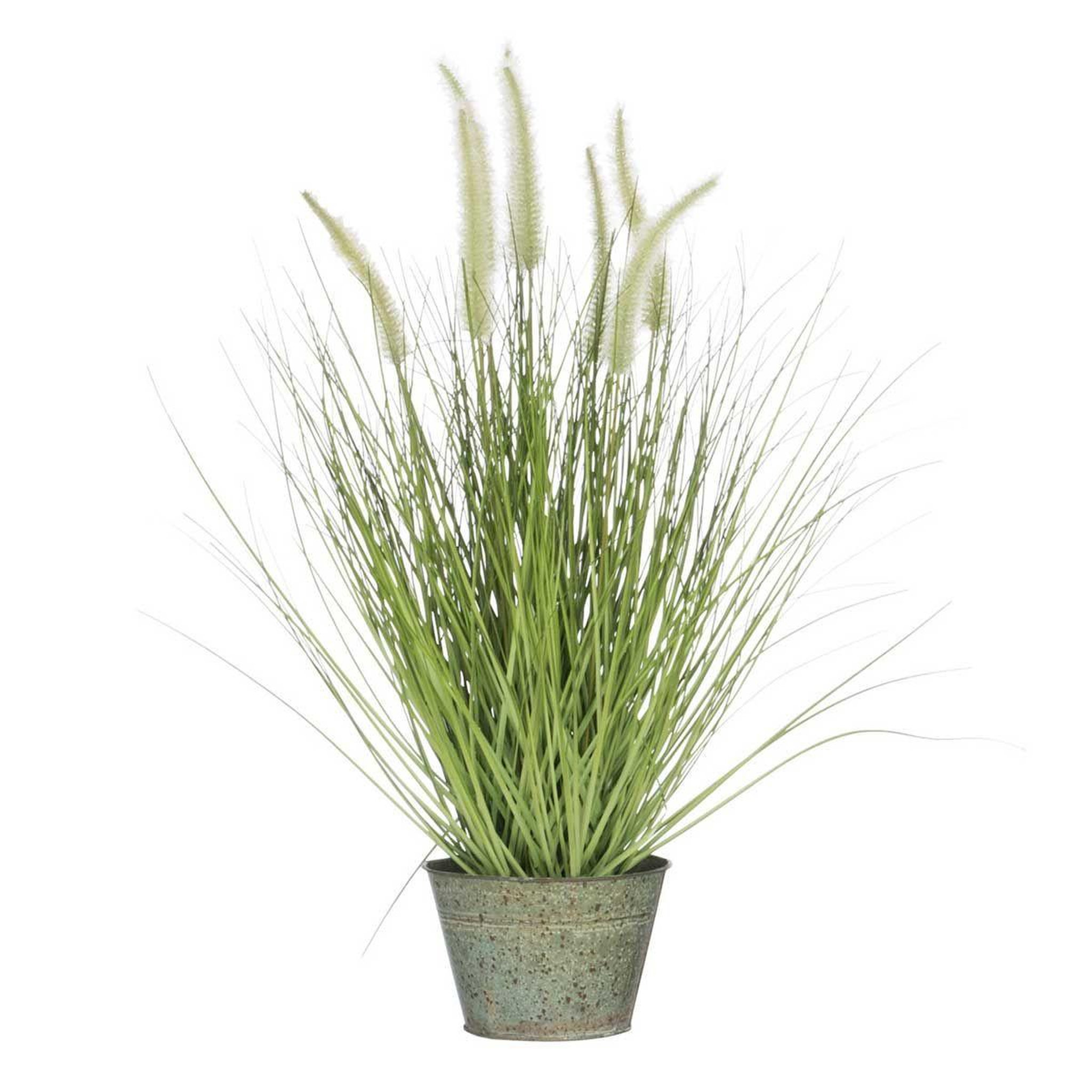 J-LINE Plante Artificielle Déco  Graminées  55cm Vert