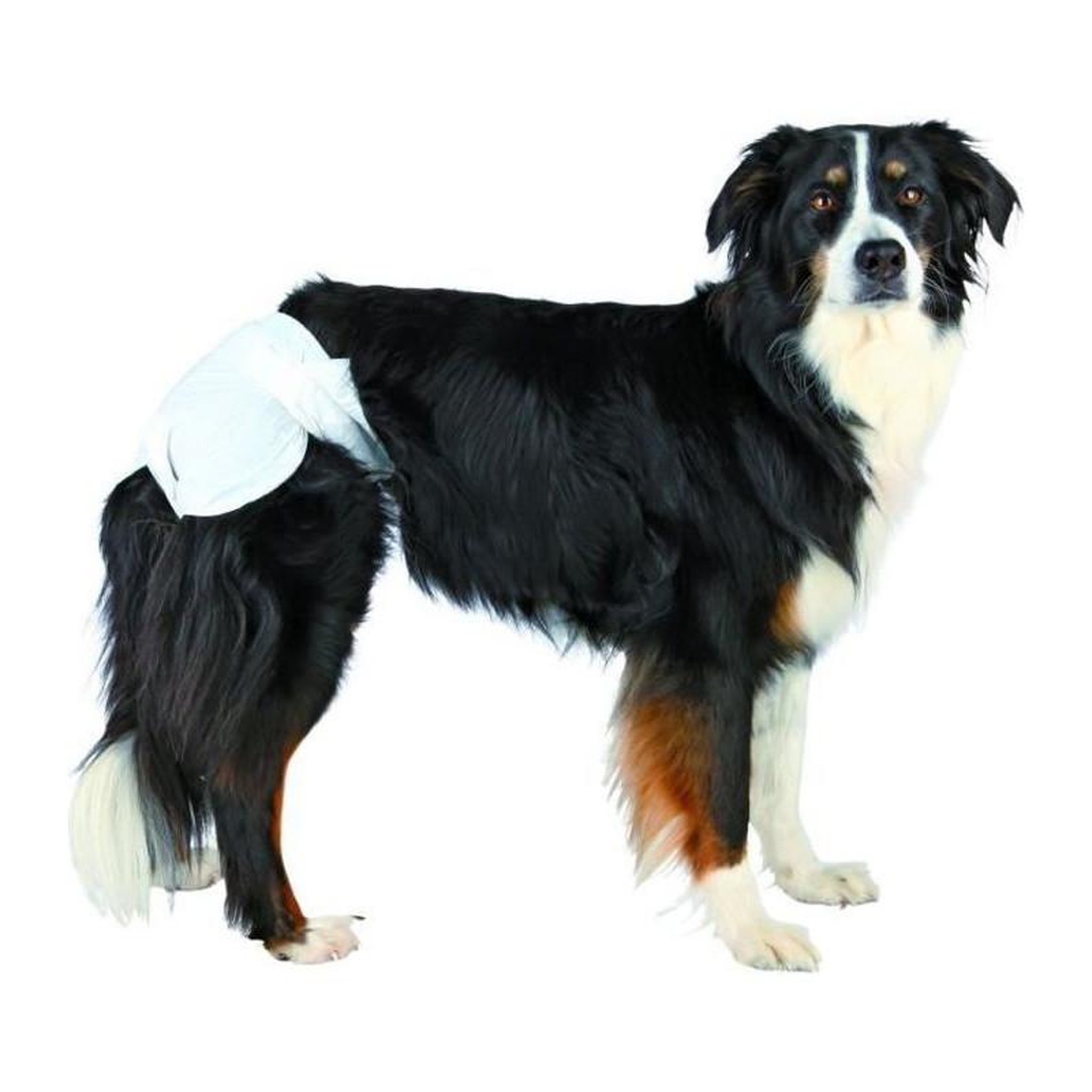 Voir la diapositive 1 : Trixie TRIXIE Couches pour chiens taille L