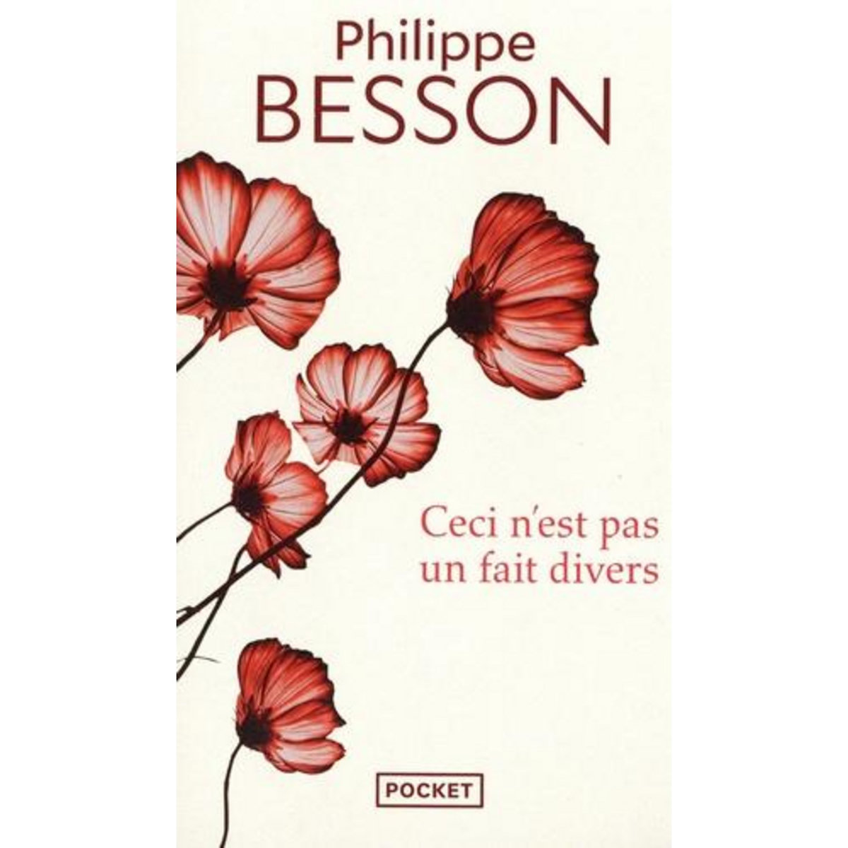 CECI N'EST PAS UN FAIT DIVERS, Besson Philippe