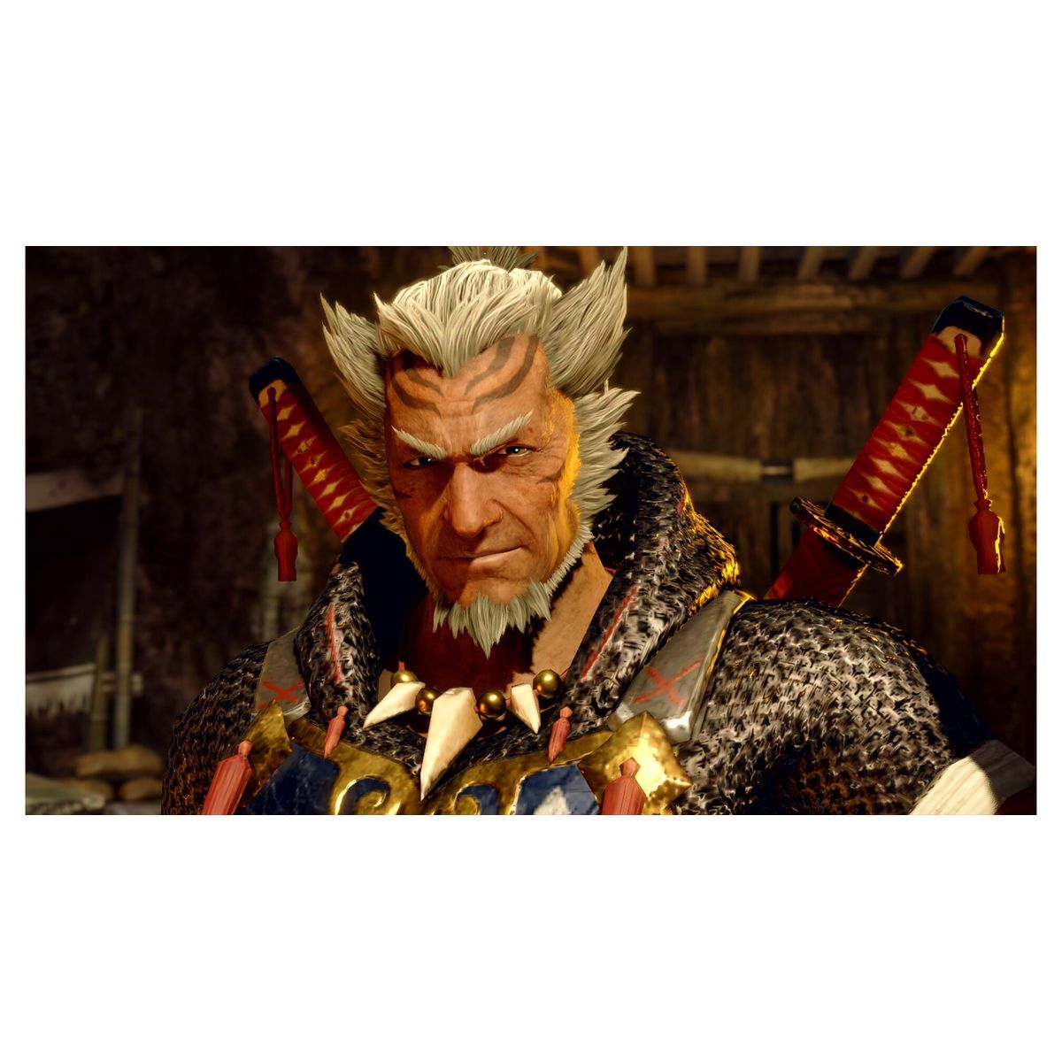 NINTENDO Monster Hunter Rise Edition Collector Nintendo Switch