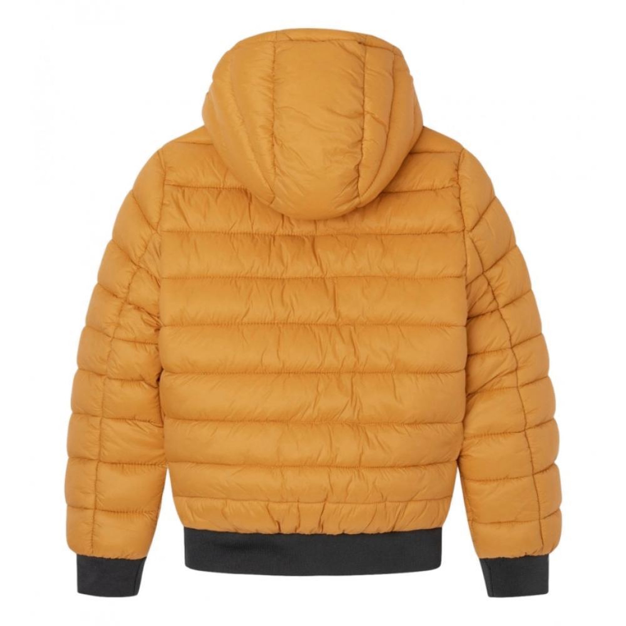 Voir la diapositive 4 : Pepe Jeans Doudoune  Garçon Pepe Jeans Alexander
