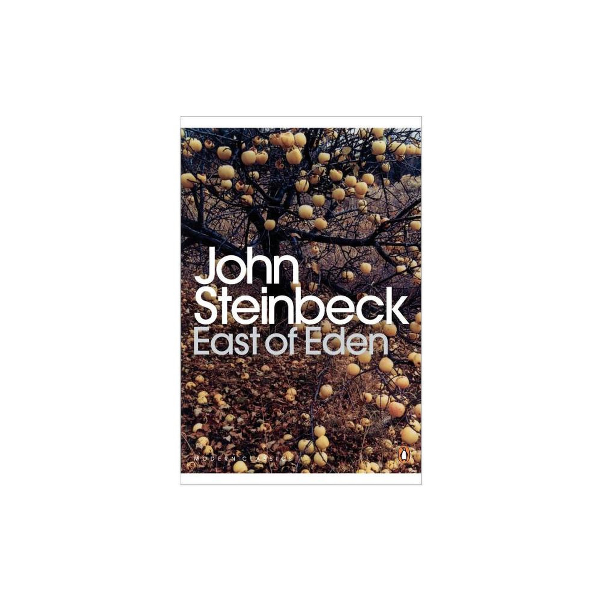 Livre de poche East of Eden de John Steinbeck, saga familiale dans la vallée de Salinas (fiction)