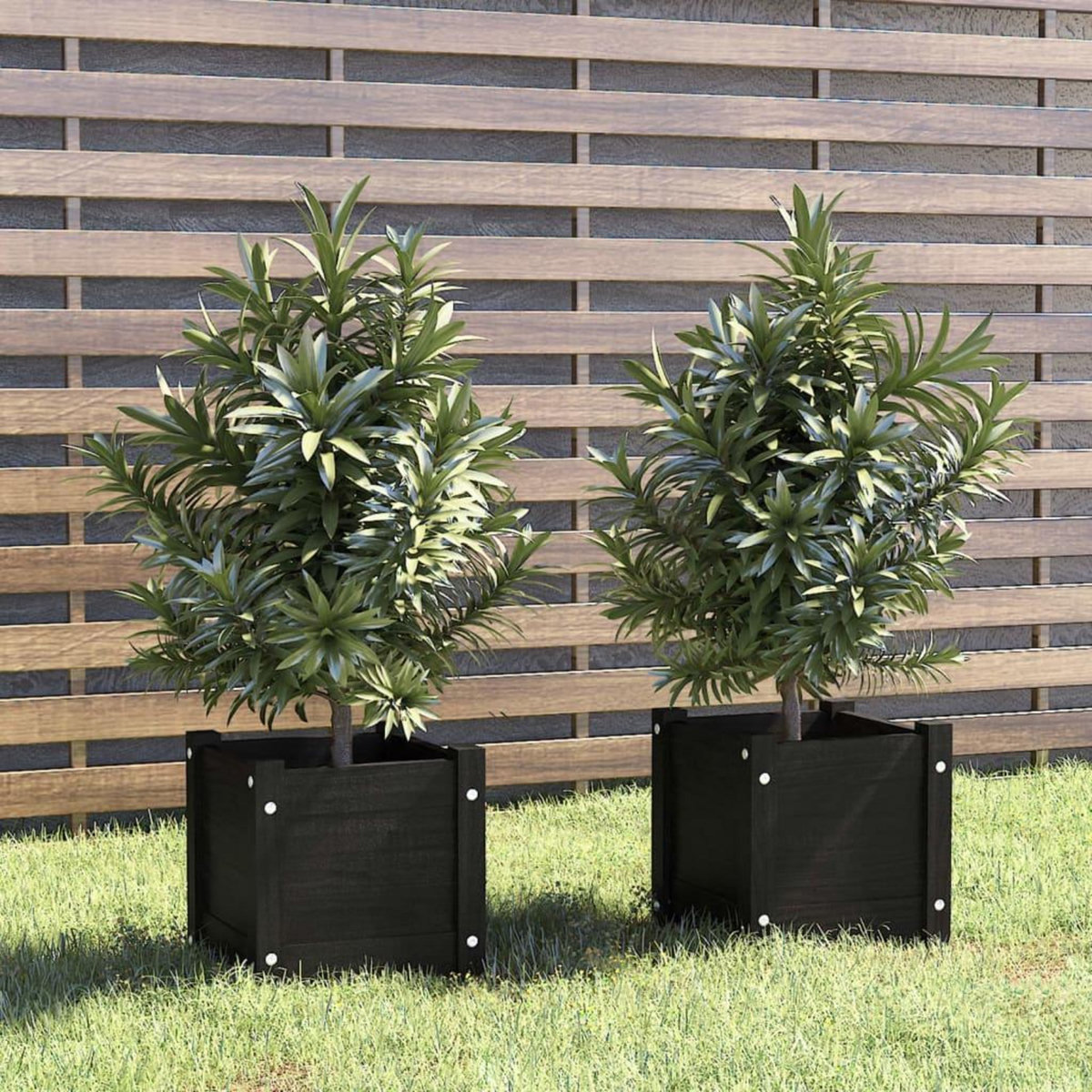 VIDAXL Jardinieres d'exterieur 2 pcs Noir 31x31x31 cm Bois de pin