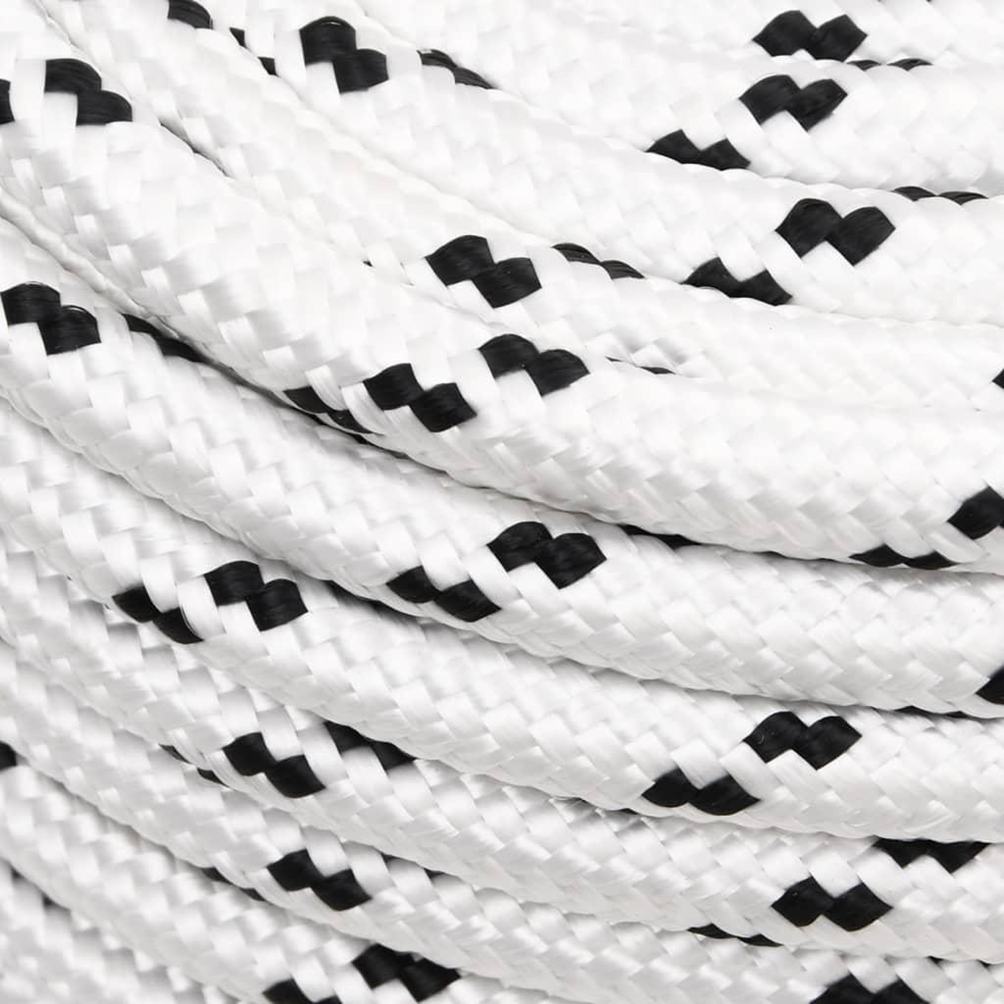 Voir la diapositive 3 : VIDAXL Corde de bateau tresse Blanc 12 mmx100 m Polyester