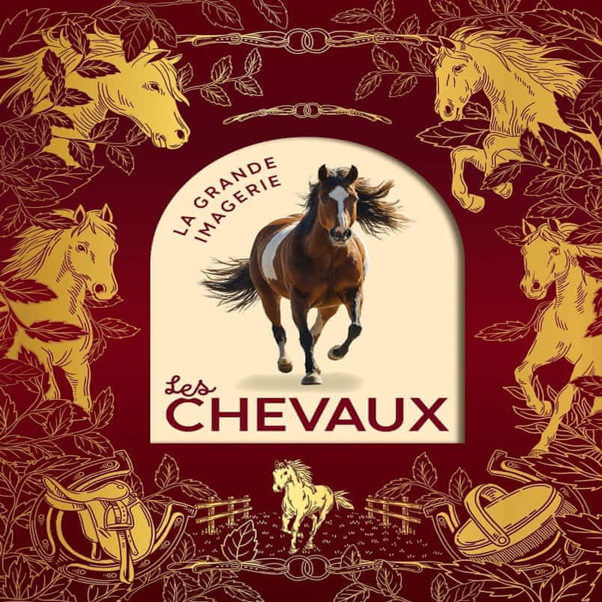 LES CHEVAUX. EDITION COLLECTOR, Vandewiele Agnès