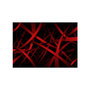 Voir la diapositive 2 : Paris Prix Papier Peint  Fear of the Dark