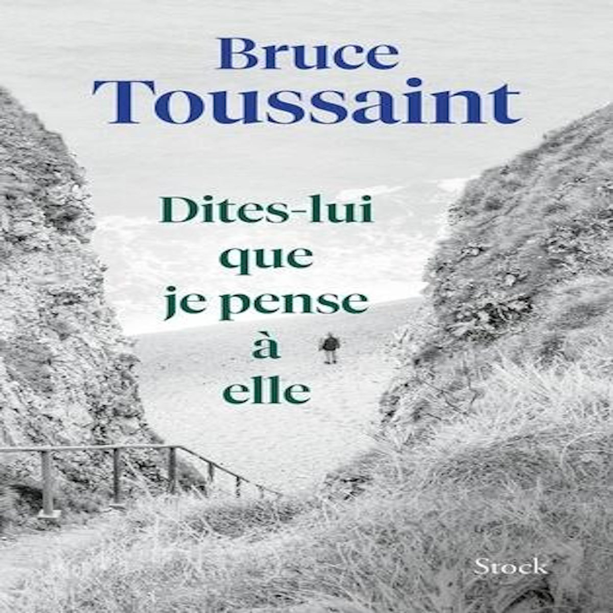 DITES-LUI QUE JE PENSE A ELLE, Toussaint Bruce