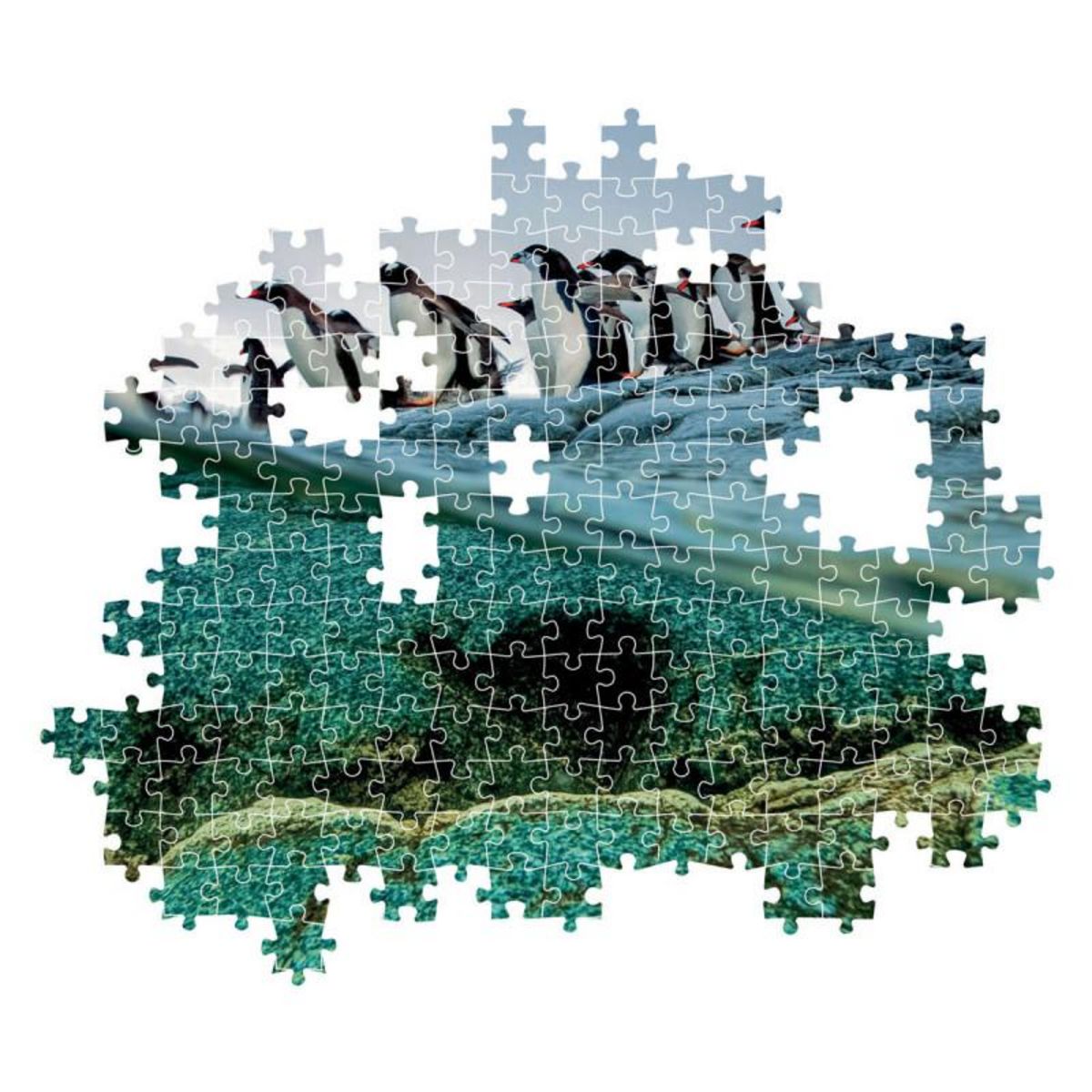 CLEMENTONI Clementoni Jigsaw Puzzle National Geographics - Penguin, 1000pcs. 39730