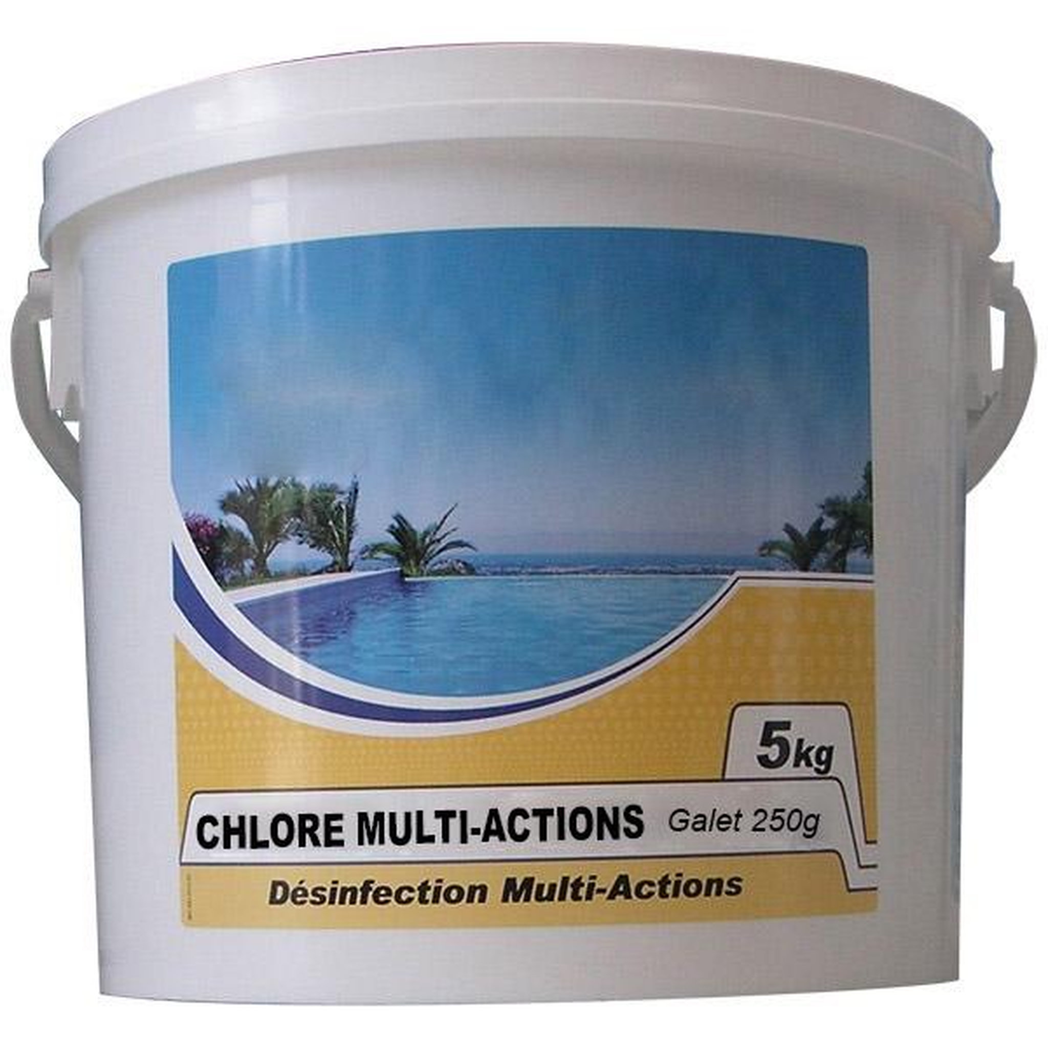Nmp Chlore lent multi-fonctions galet 250g 5kg - CHLORE MULTI-ACTIONS 250