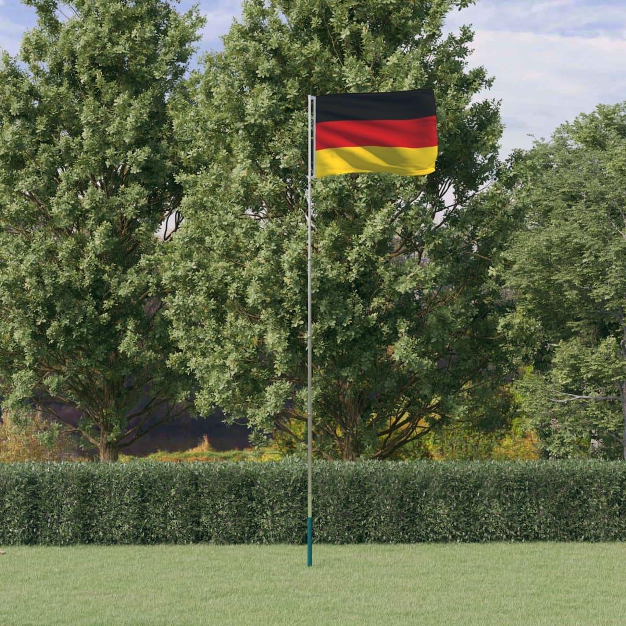 Voir la diapositive 1 : VIDAXL Drapeau de l'Allemagne et mat 5,55 m Aluminium
