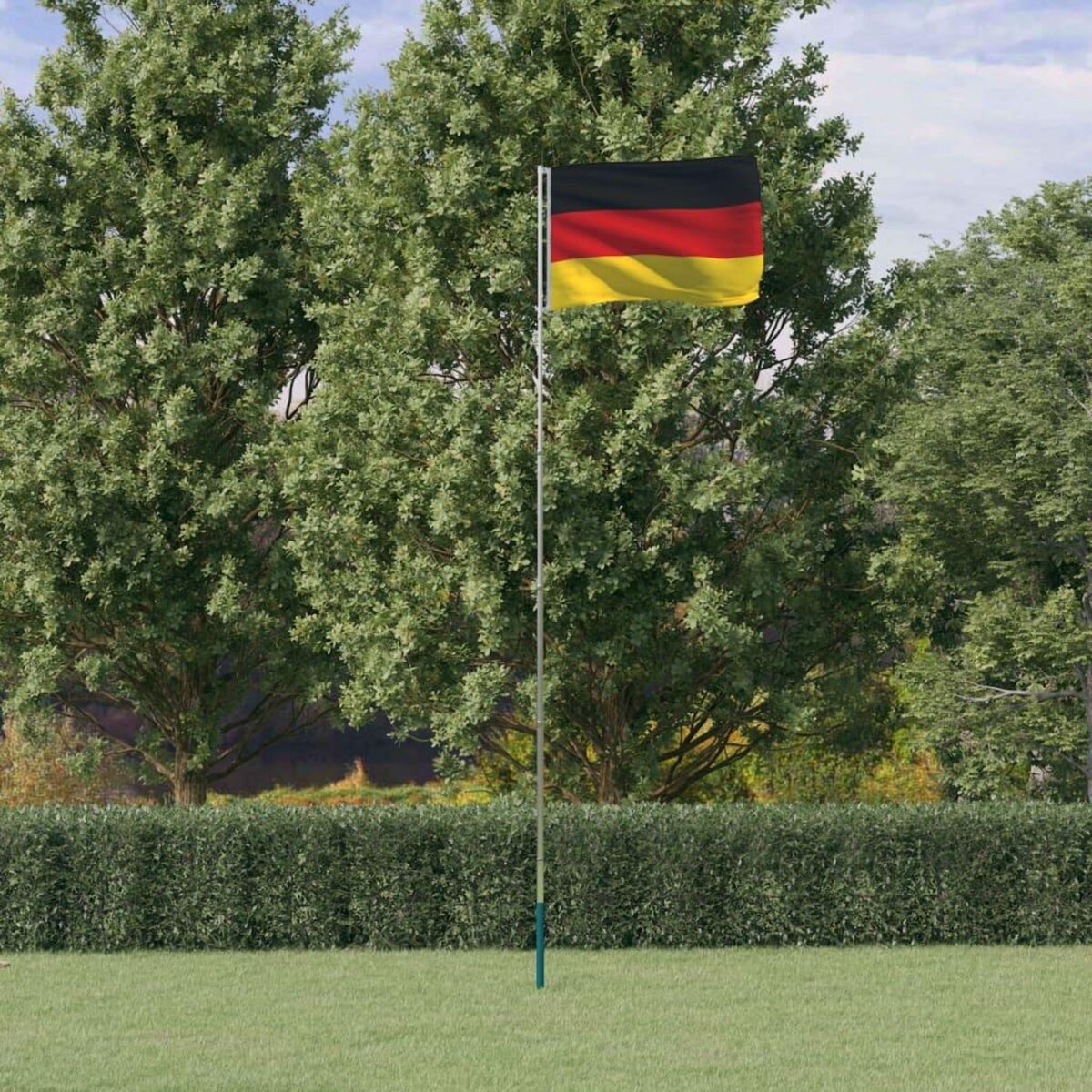VIDAXL Drapeau de l'Allemagne et mat 5,55 m Aluminium