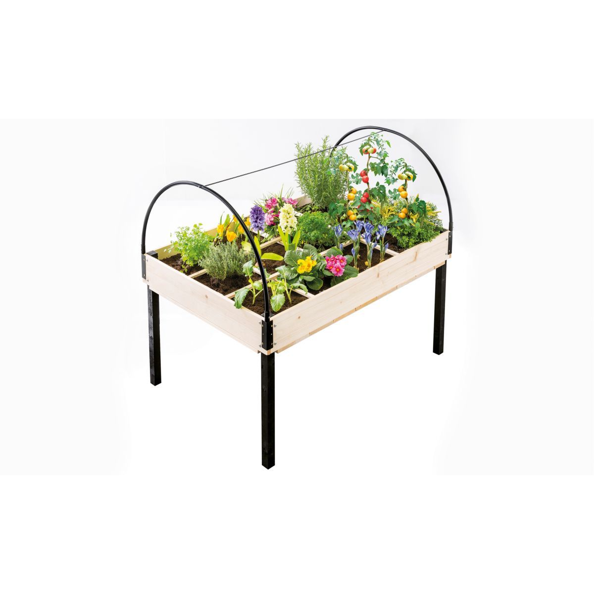 Jardikt Serre de potager sur pieds noirs 12 compartiments AROMA